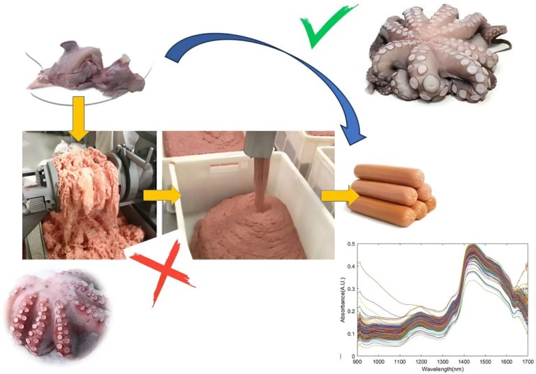 Processo di trasformazione del polpo in prodotti alimentari: dalla carne grezza alla macinatura per la produzione di salsicce, con una rappresentazione grafica dell'analisi spettrale delle varie fasi di produzione. Questo processo industriale è finalizzato a garantire la qualità e la sicurezza alimentare.